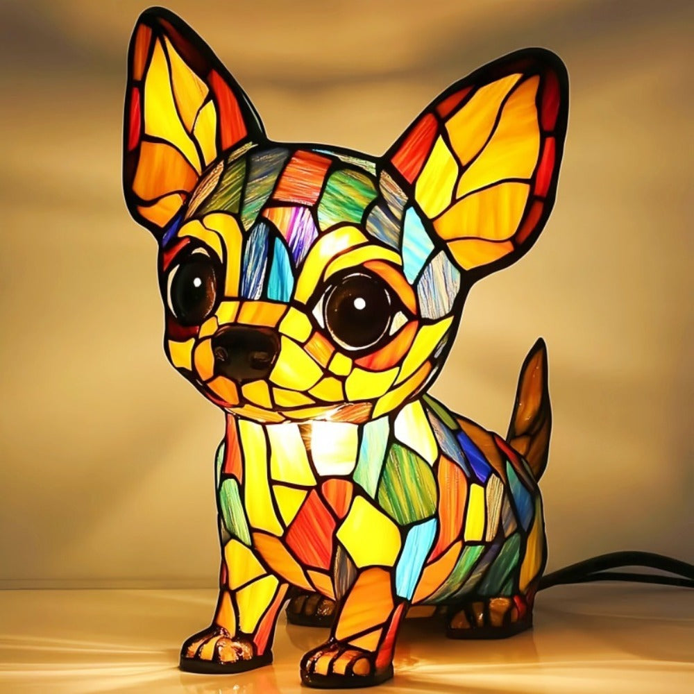 Douceur du Chihuahua