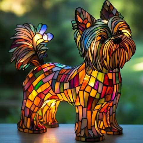 Brillance du Yorkshire Terrier