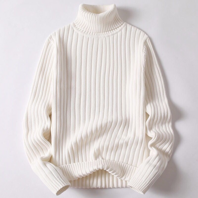 Léo - Pull automne à col roulé homme