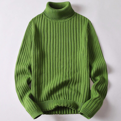 Léo - Pull automne à col roulé homme